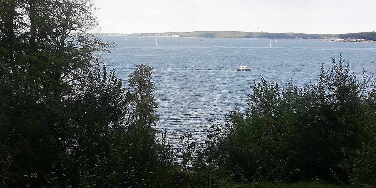 Komfort-ferienwohnung Mit Ostseeblick ,entspannung Appartement Flensbourg