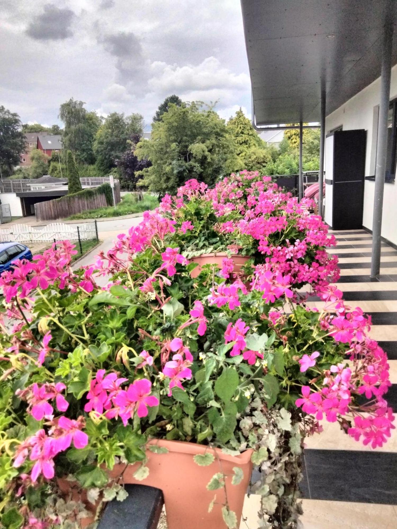 Appartement Komfort-ferienwohnung Mit Ostseeblick ,entspannung
